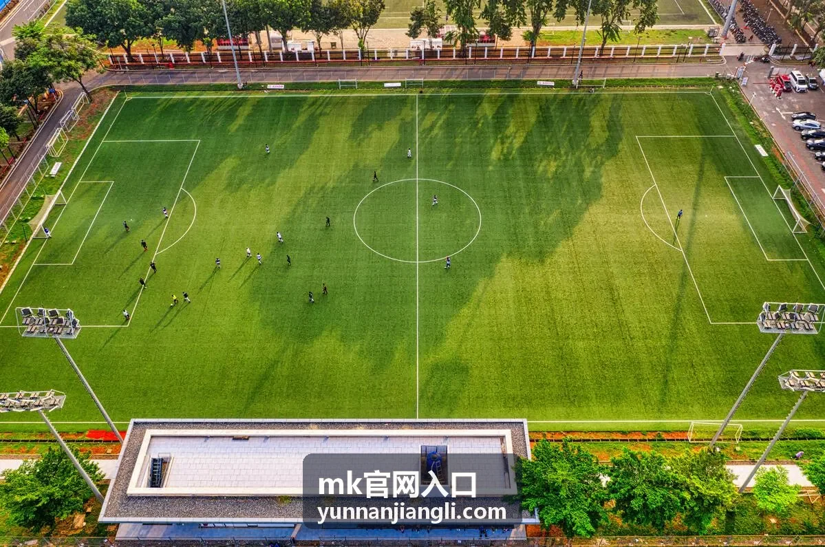 mk官网入口订单编号与开票信息填写要点配图