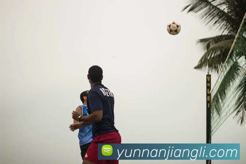 mksports官方网站平台生态图